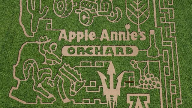 Website says these 3 Tucson-area corn mazes are among the best in the state